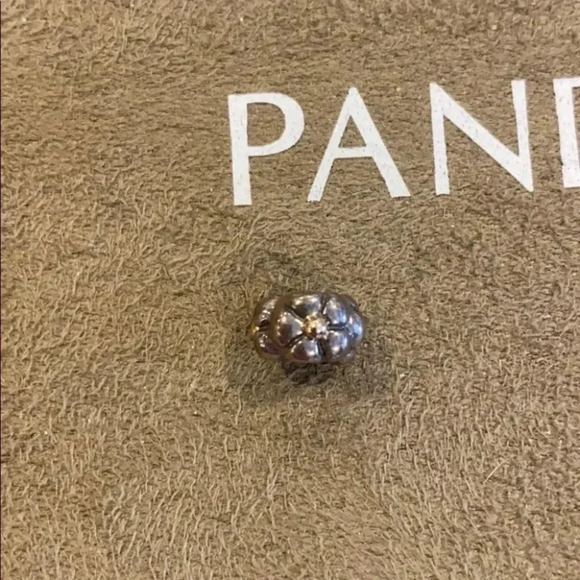 Pandora Charm Flourish 790125 - Picture 2 of 5